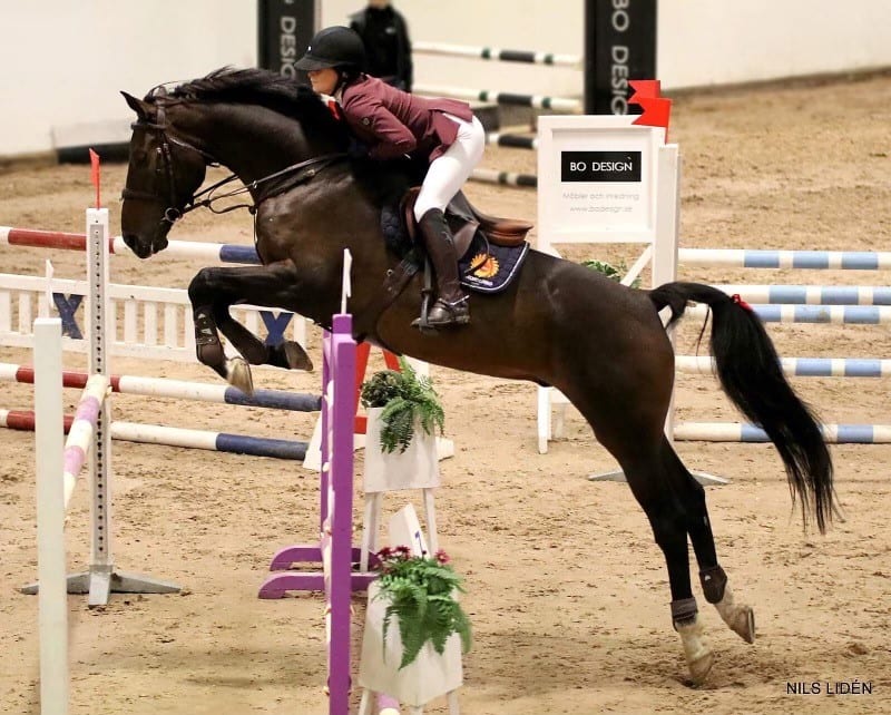 Edwin F och Mathilda Karlstad 130