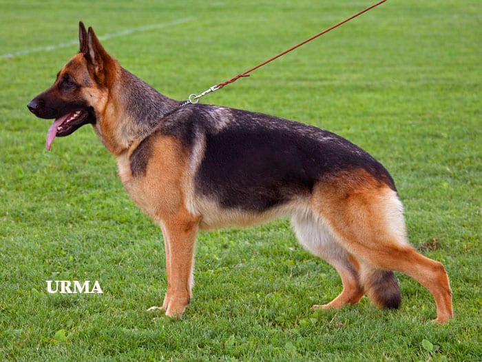 Zoie_-_Urma_001